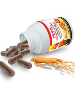orbit extra power capsules