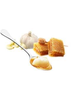 orbit garlic in bee honey
