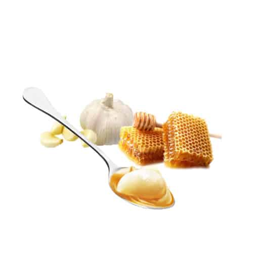orbit garlic in bee honey