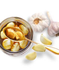 orbit garlic in bee honey