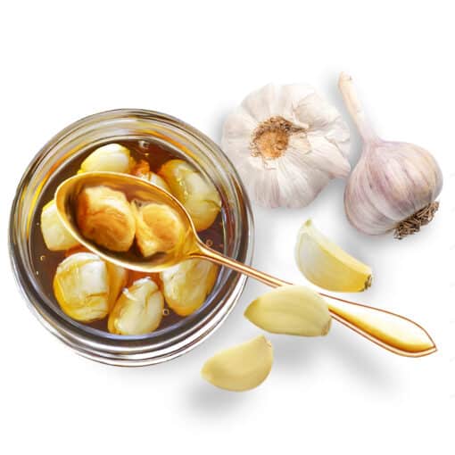 orbit garlic in bee honey