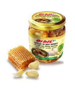 orbit garlic in bee honey