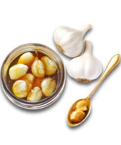 orbit garlic in bee honey