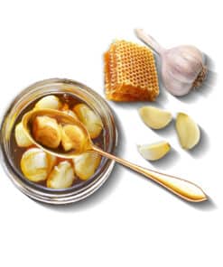orbit garlic in bee honey