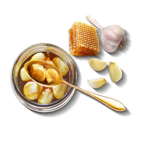 orbit garlic in bee honey