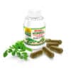 orbit moringa capsules