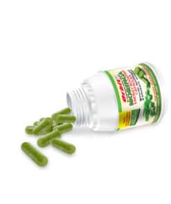 orbit moringa capsules