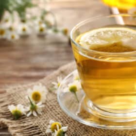 orbit herbal tea