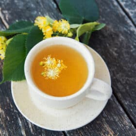 orbit herbal tea