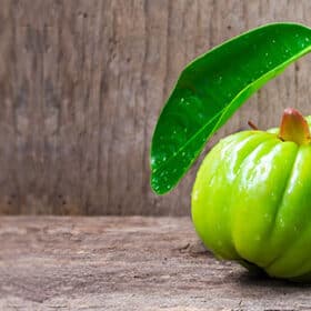 orbit garcinia fruit