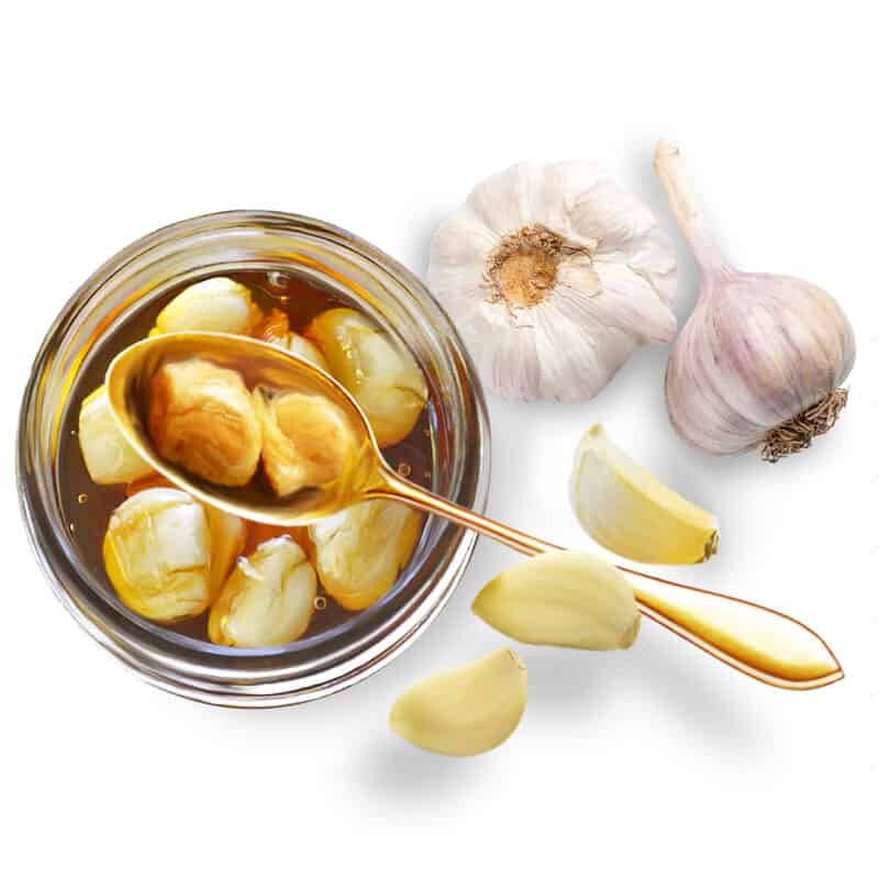 orbit garlic honey