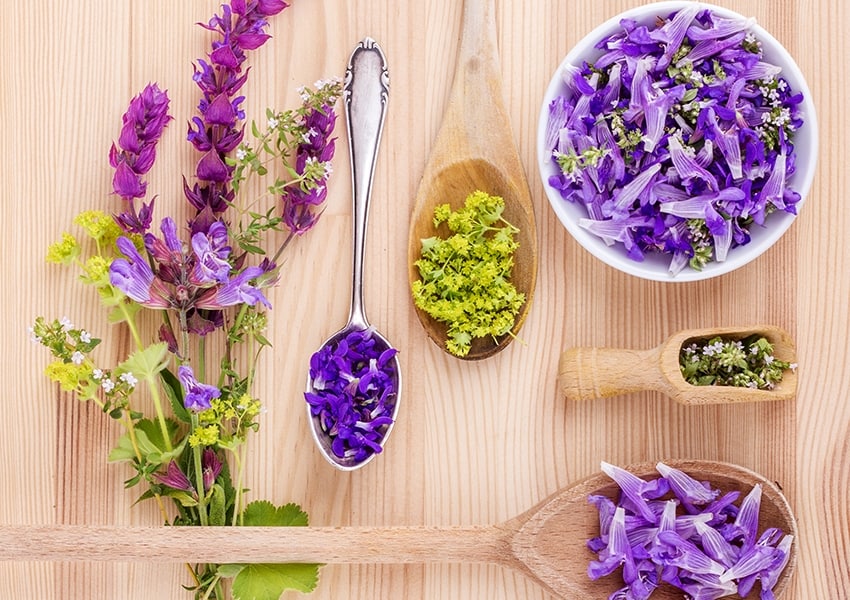 garden herbs for tea