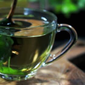 orbit herb tea